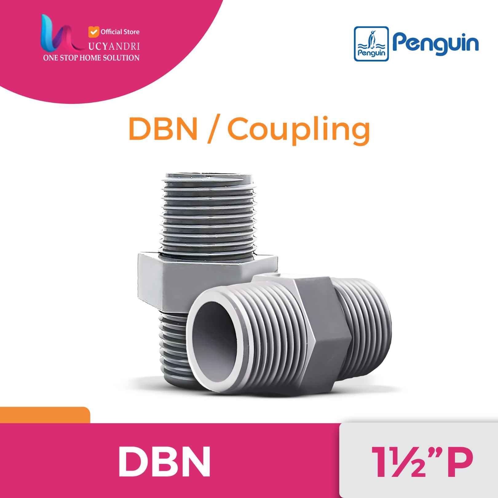 DBN1½P